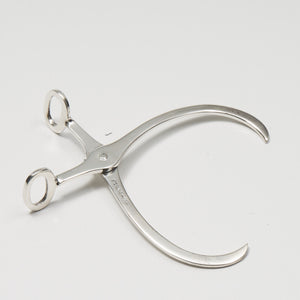 Webster Manufacturing Co. Sterling Sugar tongs